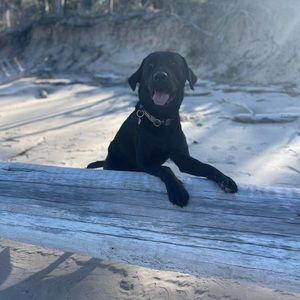 Meet your Posher, Rae